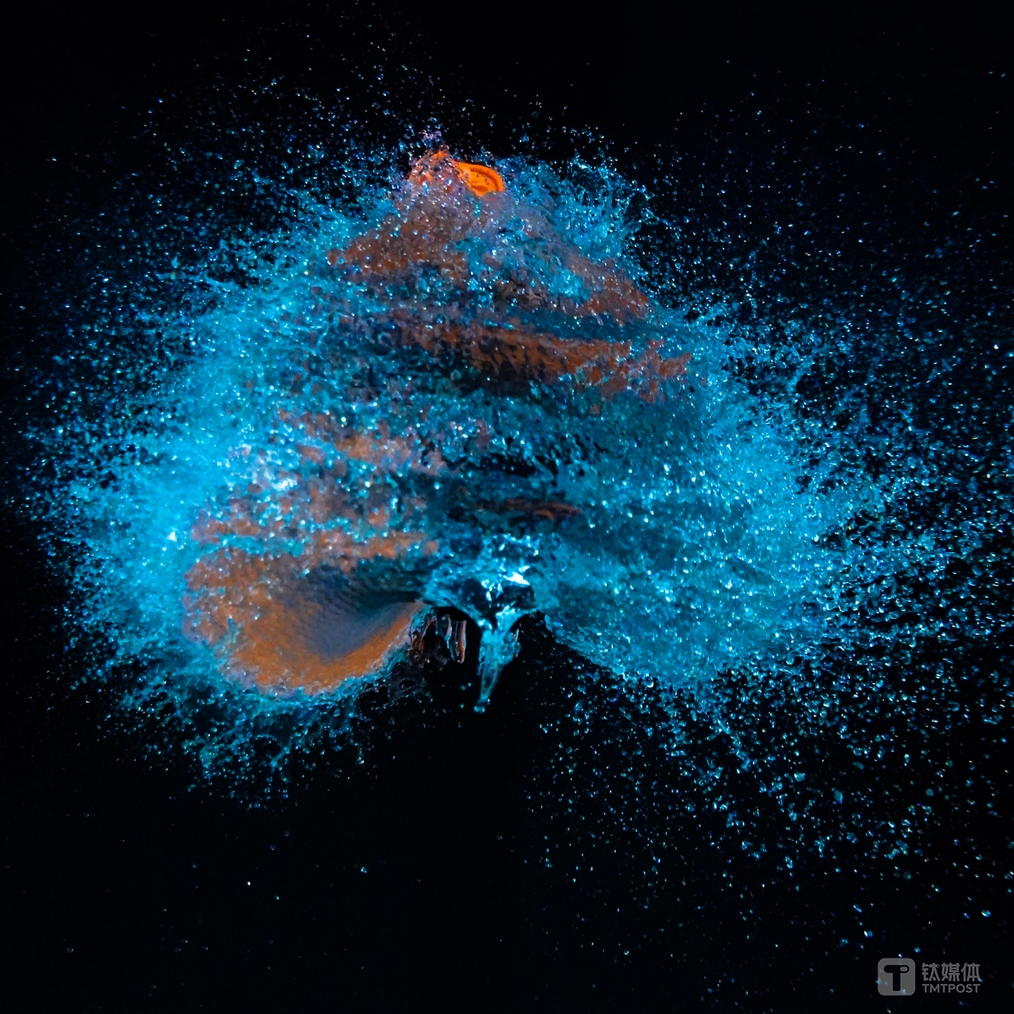 机身：索尼黑卡RX100 VII 焦距： mm 快门速度：1/10000s ISO:2500