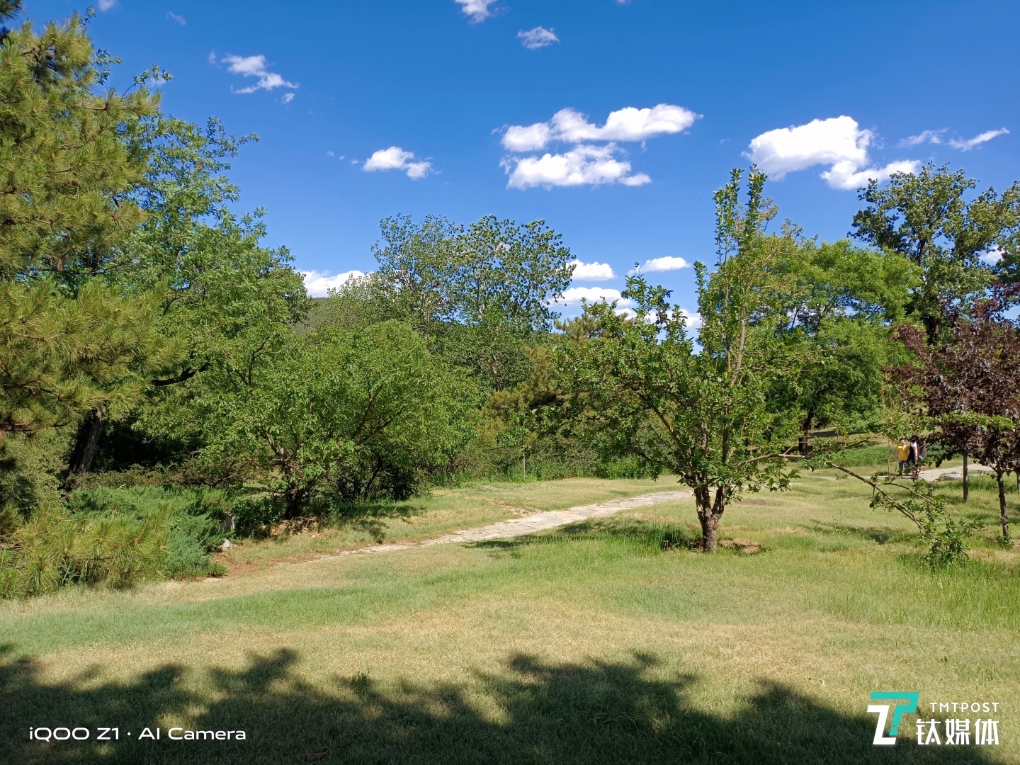 超广角镜头样张