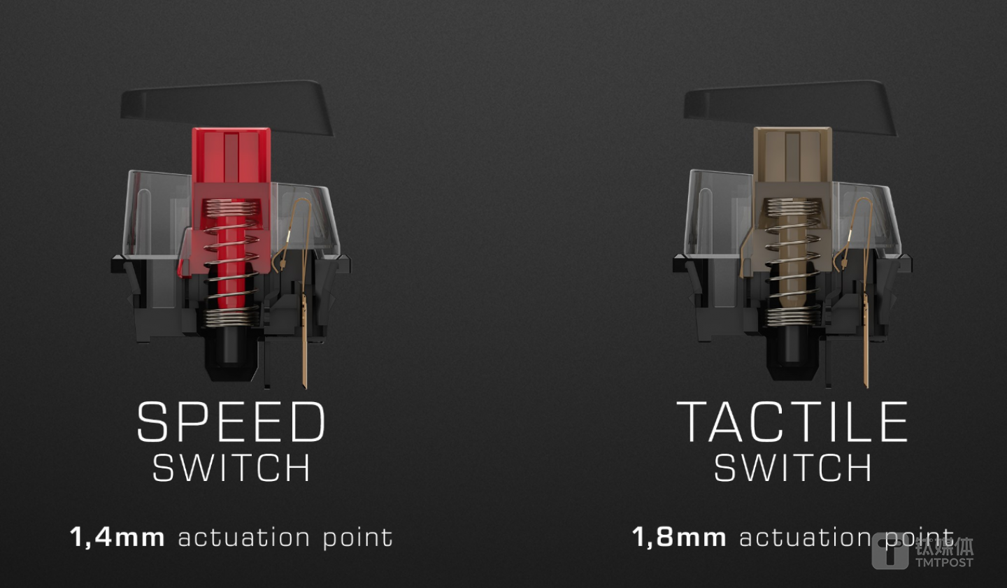 左为泰坦红轴，右为泰坦茶轴