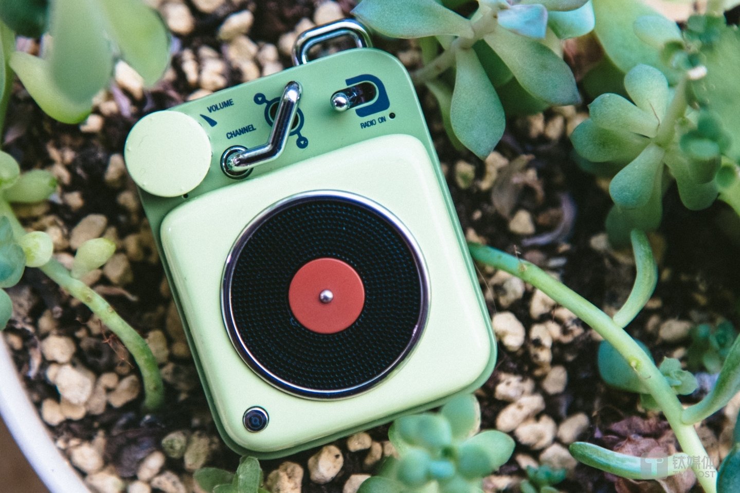 猫王原子唱机B612