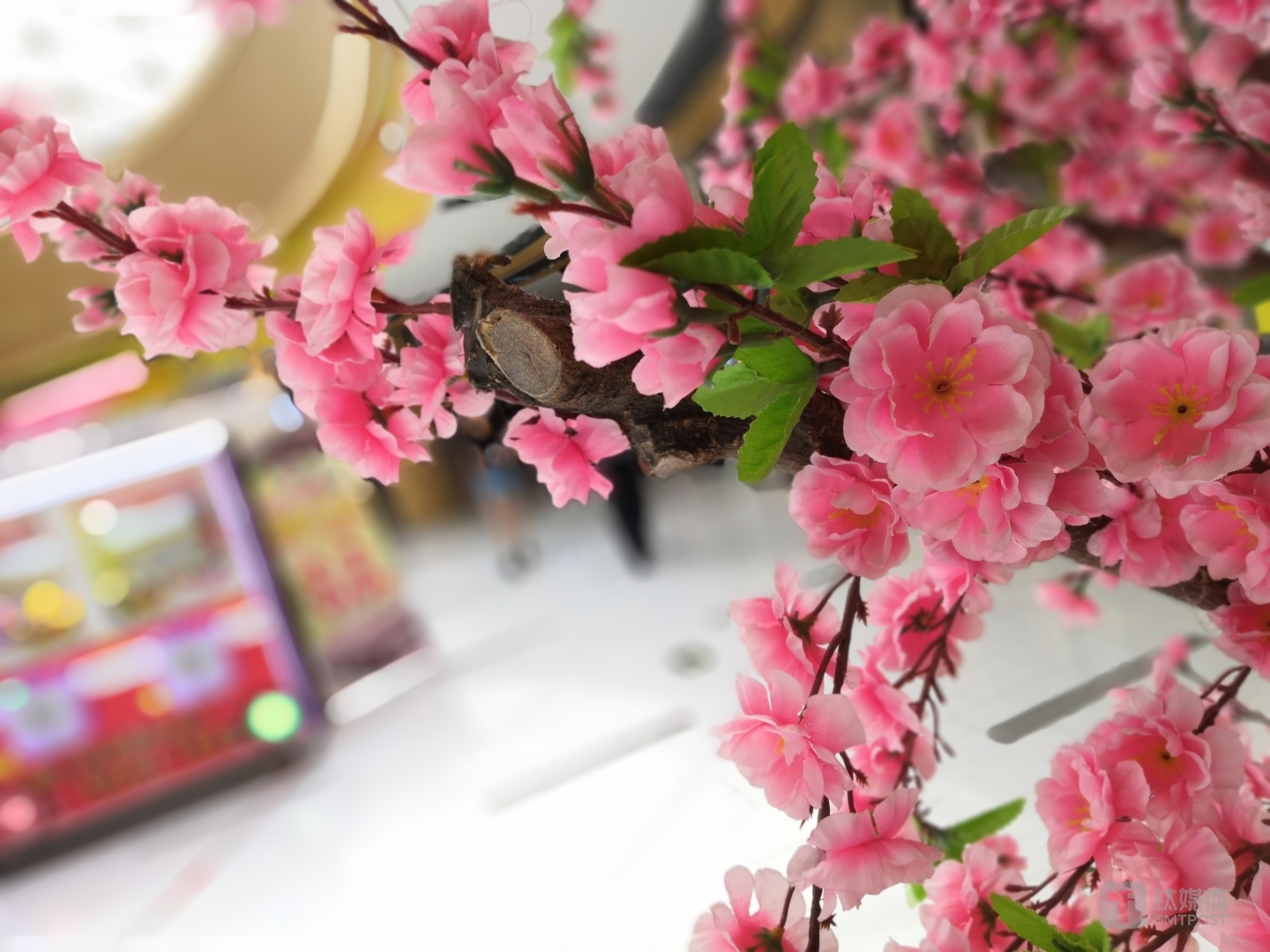 榮耀Play實(shí)拍樣張&nbsp;  焦距：27mm 光圈：f/0.95 快門速度：1／50 s ISO:50