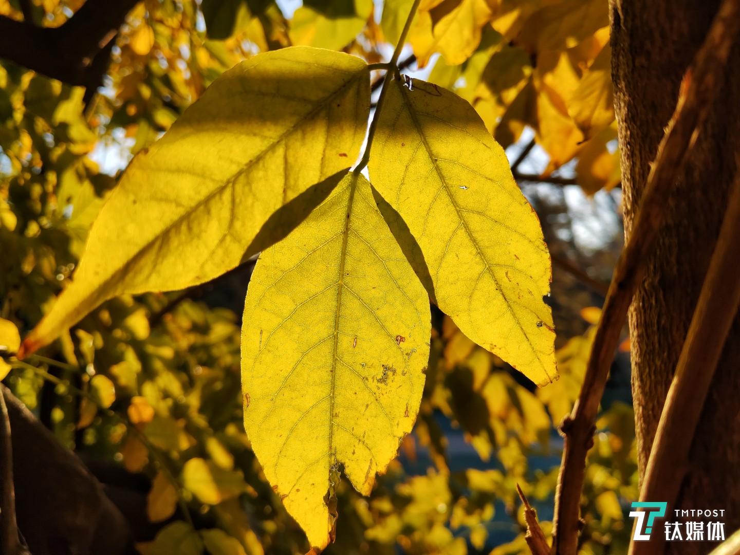 焦距：4.28mm 光圈：f/1.8 快门速度：1/s ISO: