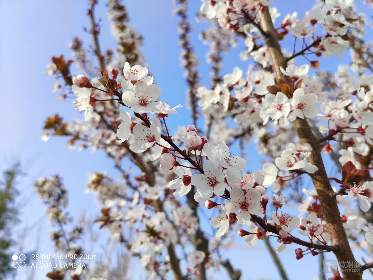更多样张 焦距：5.58mm 光圈：f/1.6 快门：1/1000 ISO：50
