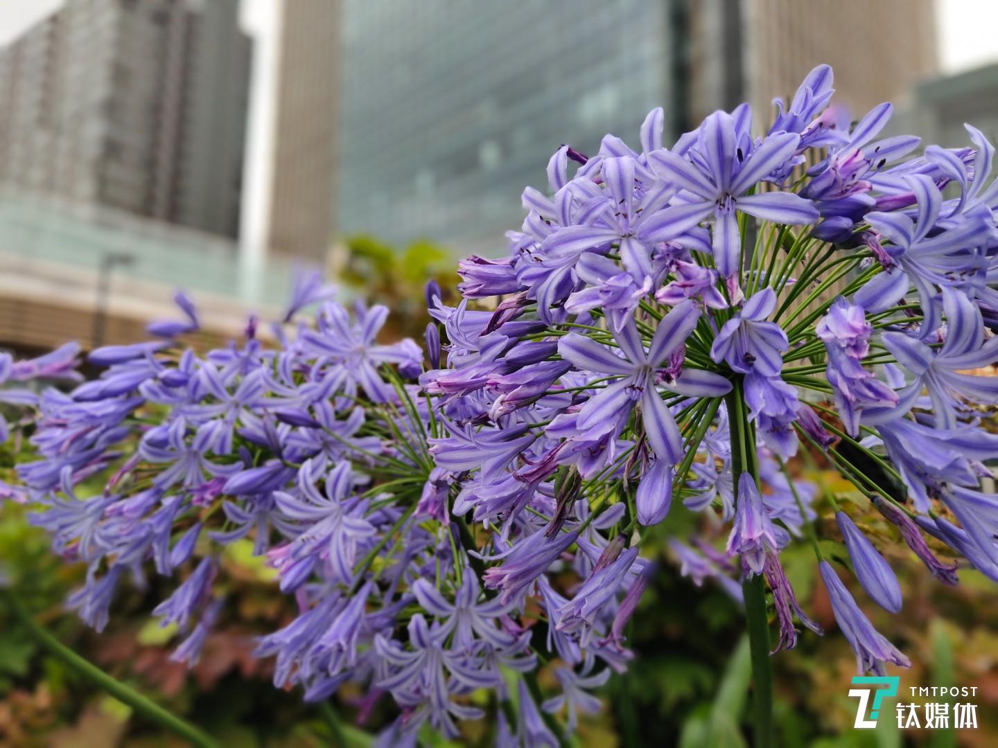 更多样张 焦距：4.35mm 光圈：f/1.8 快门速度：1/s ISO: