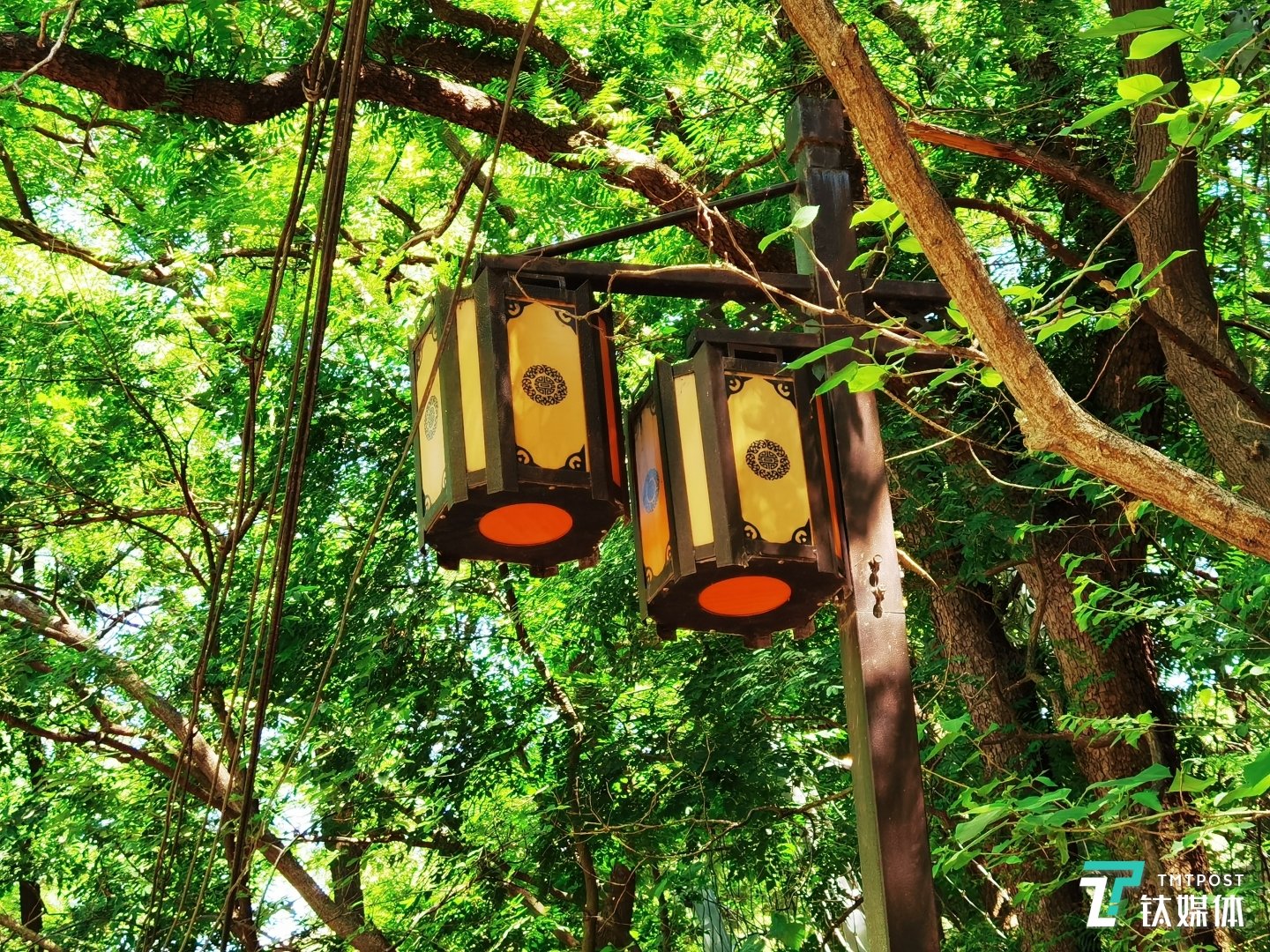 10倍光学变焦,直接可以拍摄远处的路灯