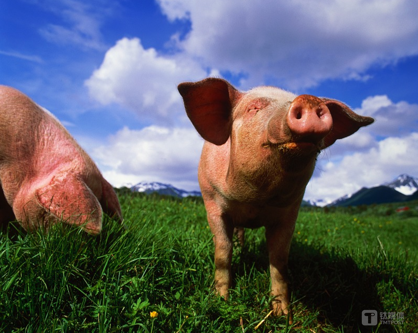 题图来自：视觉中国