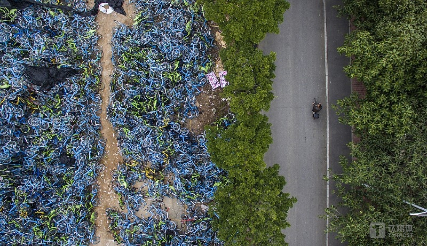 图片来源@视觉中国