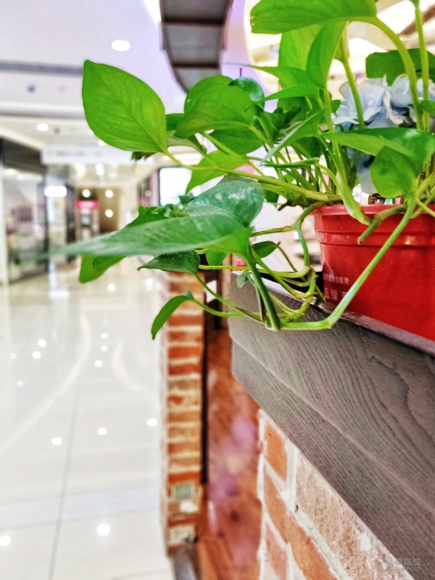 一加6拍摄样张（2）