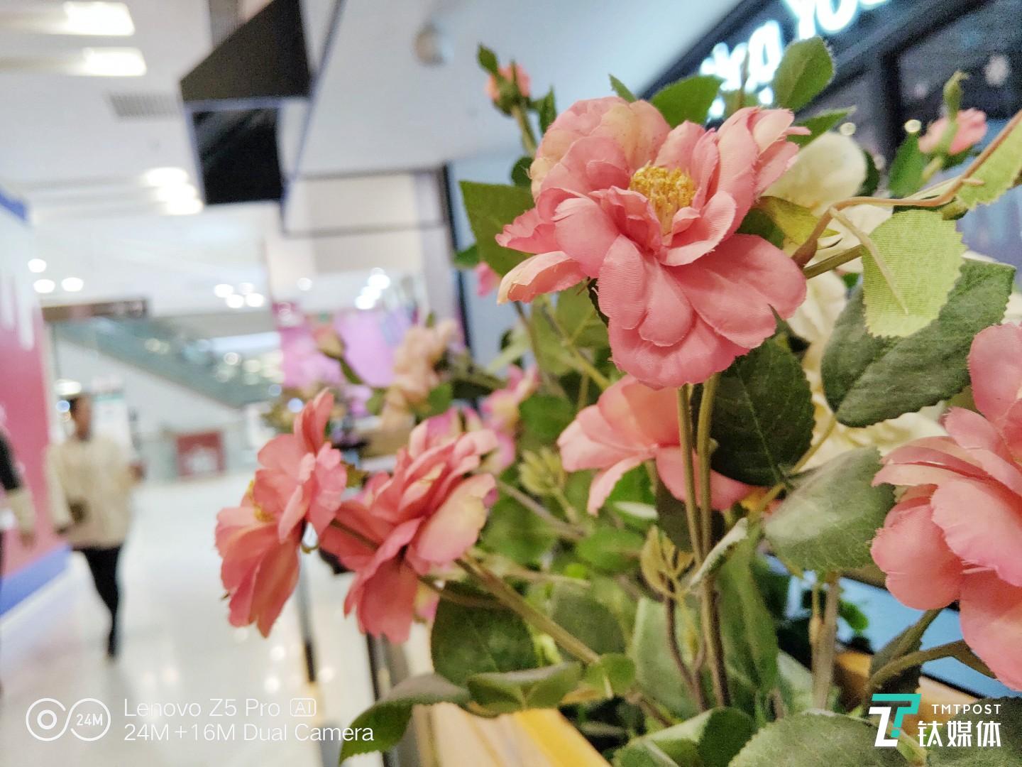 更多样张 焦距：4.28mm 光圈：f/1.8 快门速度：1/s ISO: