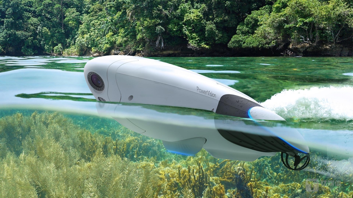 臻迪PowerDolphin小海豚