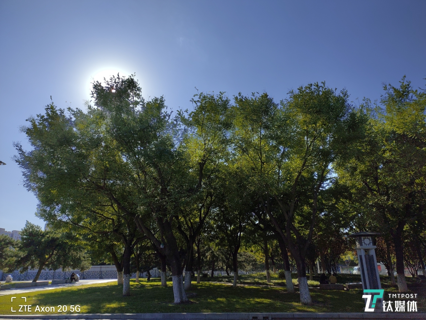 Axon 20 5G-逆光样张