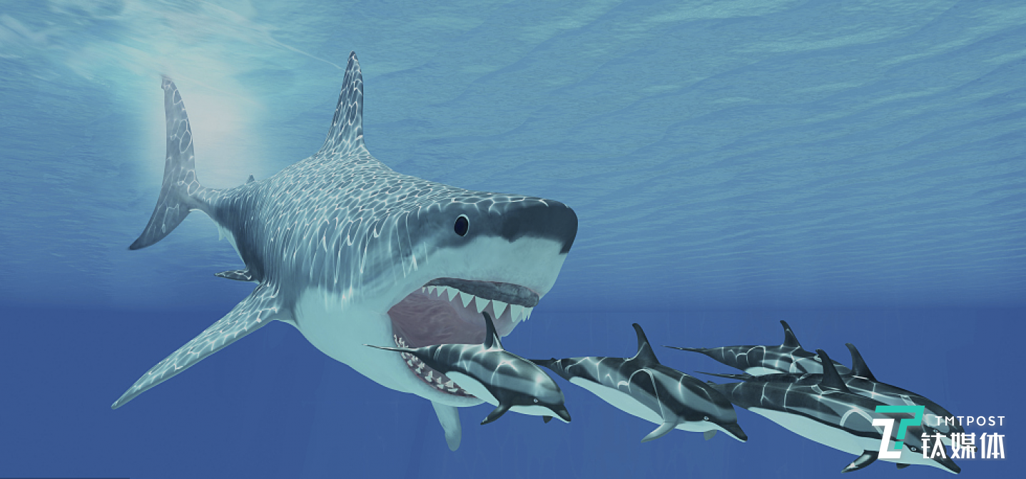 图片来源：视觉中国