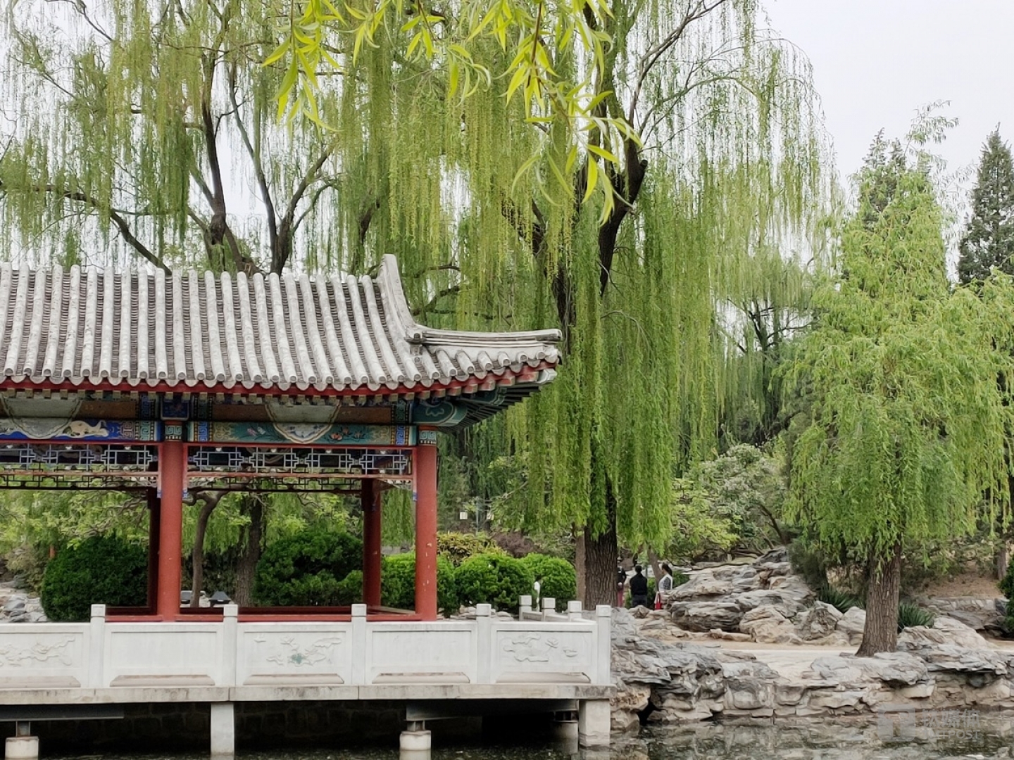 更多样张 焦距：mm 光圈：f/ 快门速度：1/s ISO: