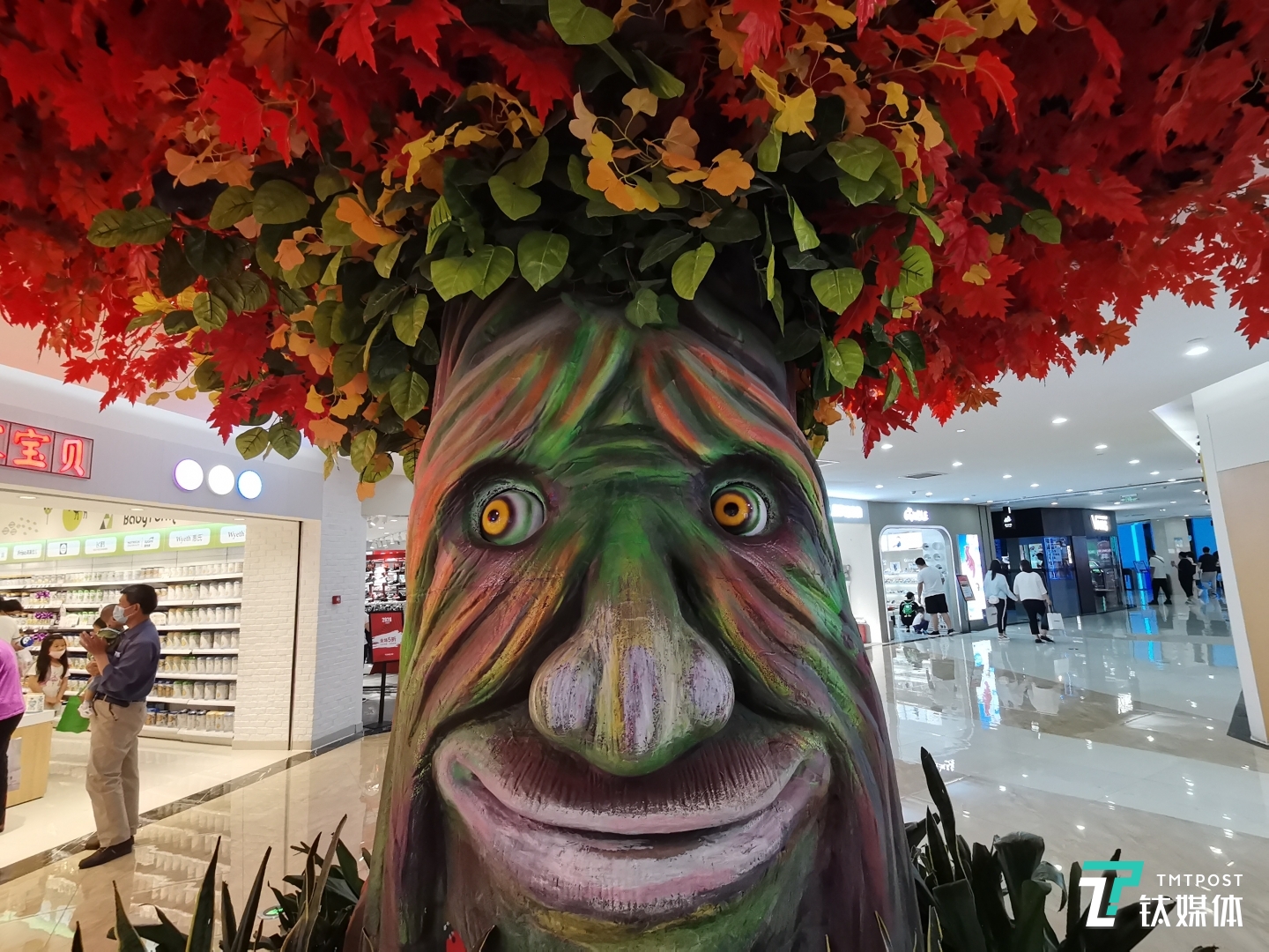 焦距：1.78 mm 光圈：f/2.4 快门：1/60s ISO：320