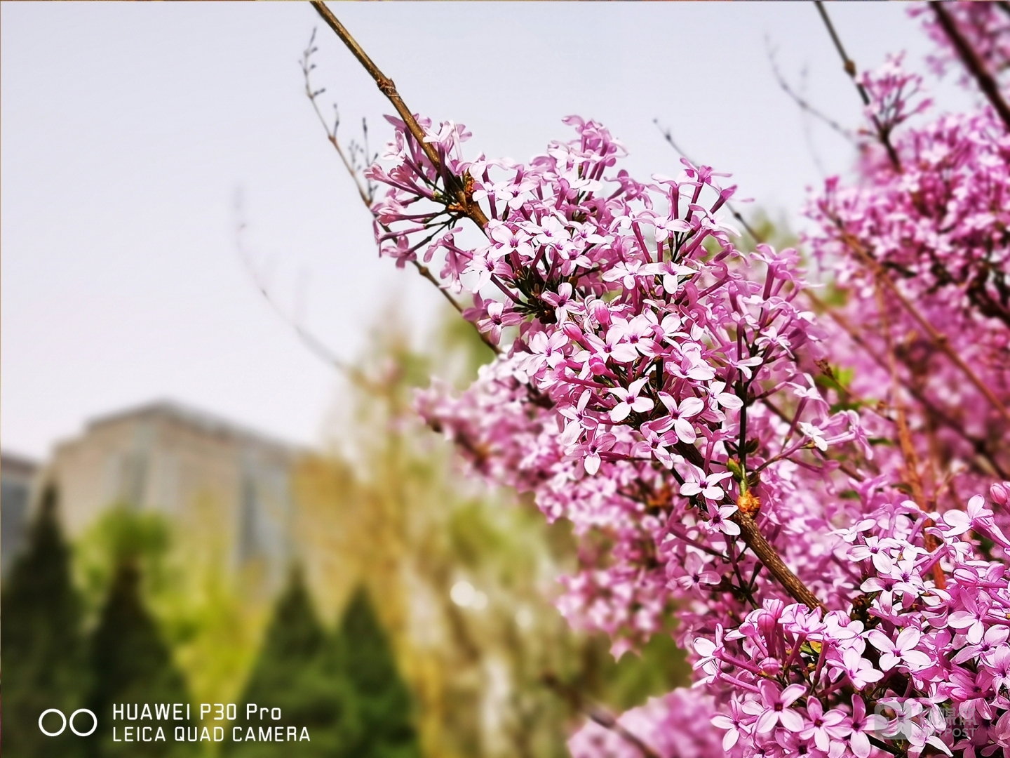 更多样张  焦距：mm（等效35mm焦距） 光圈：f/ 快门速度：1/s ISO: