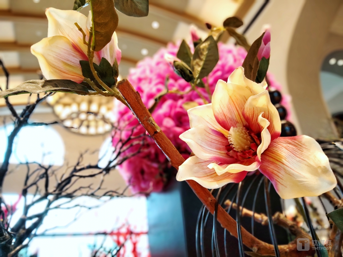 焦距：3.95mm 光圈：f/1.8 快门速度：1/s ISO: