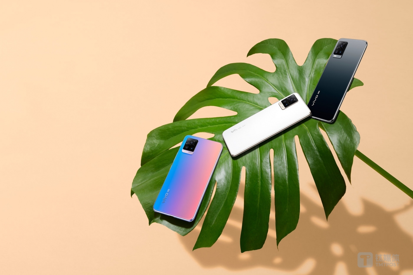 vivo S7