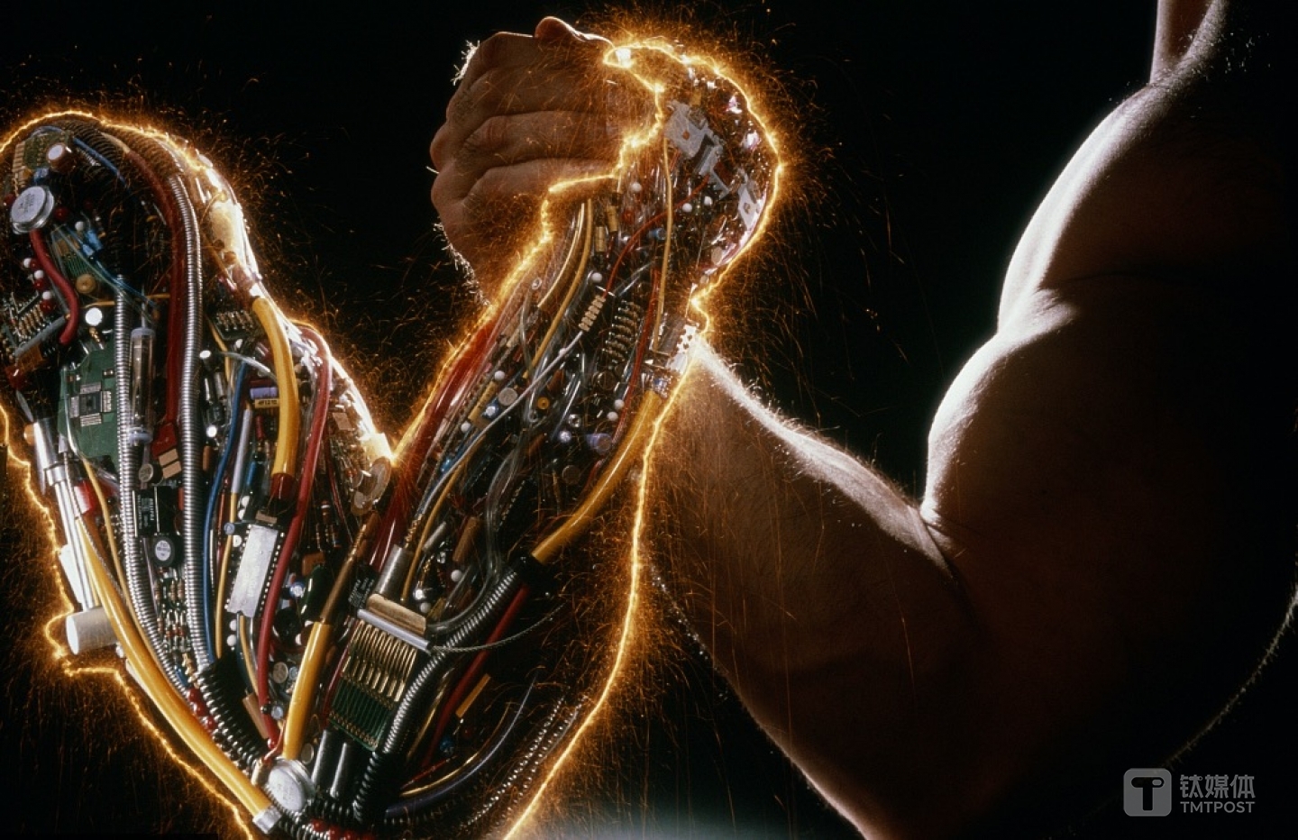 图片来源：视觉中国