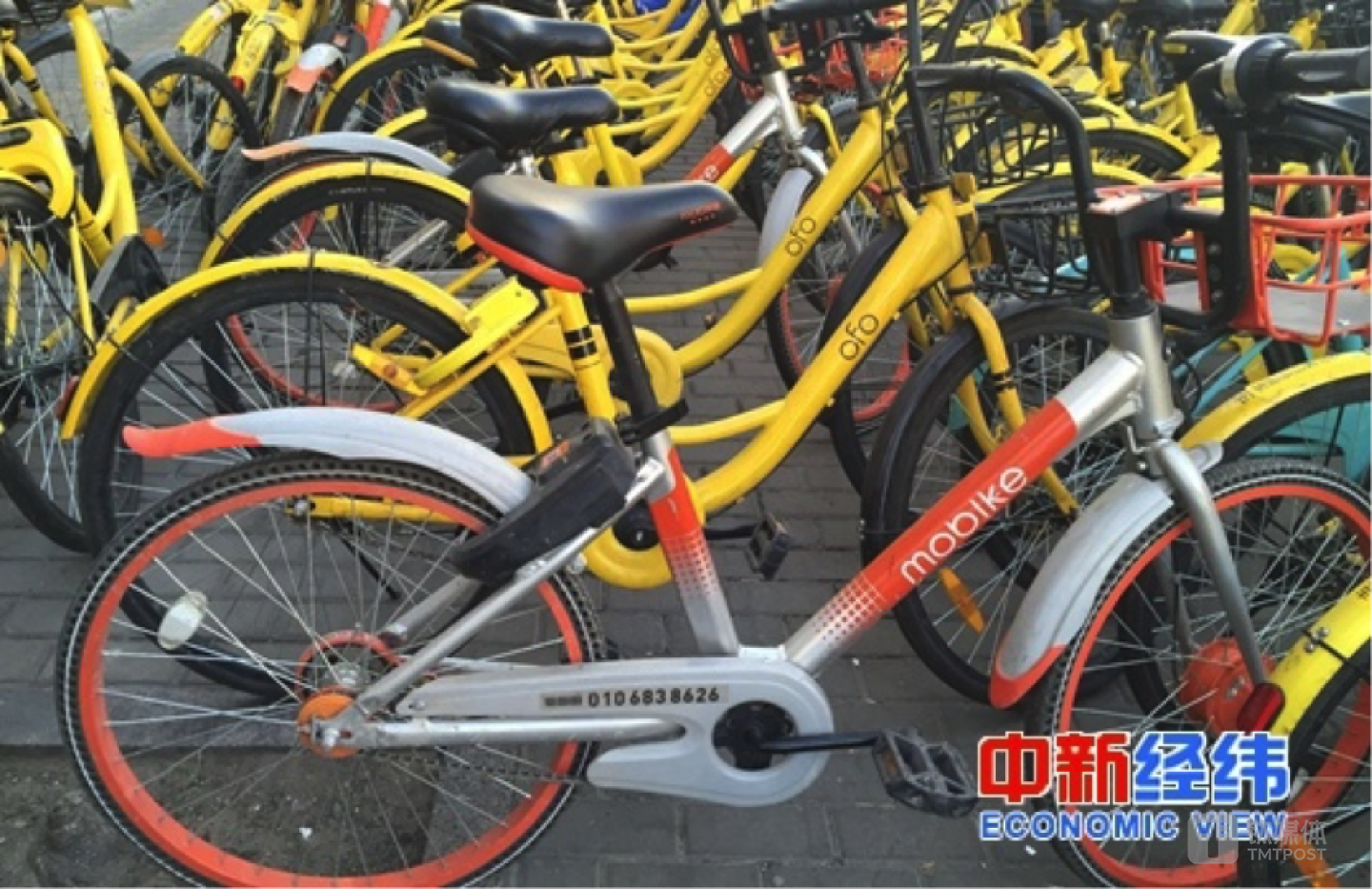 路边停放的共享单车。中新经纬 刘虹利 摄