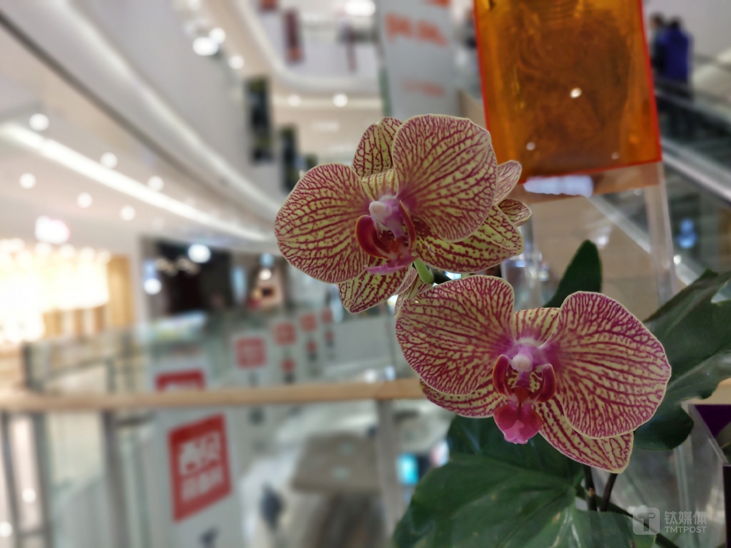 焦距：4.4mm 光圈：f/1.8 快门速度：1/s ISO: