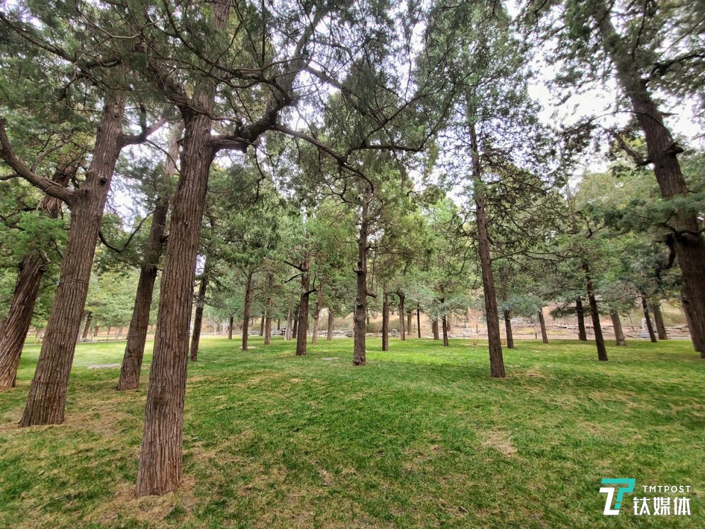 更多实拍样张 焦距：mm 光圈：f/ 快门速度：1/s ISO: