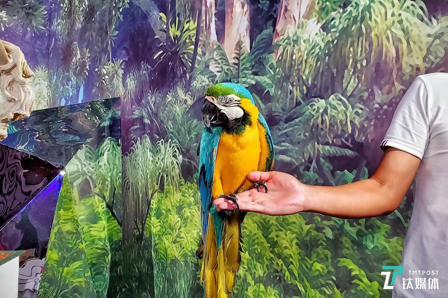 更多实拍样张  焦距：mm 光圈：f/ 快门速度：1/s ISO: