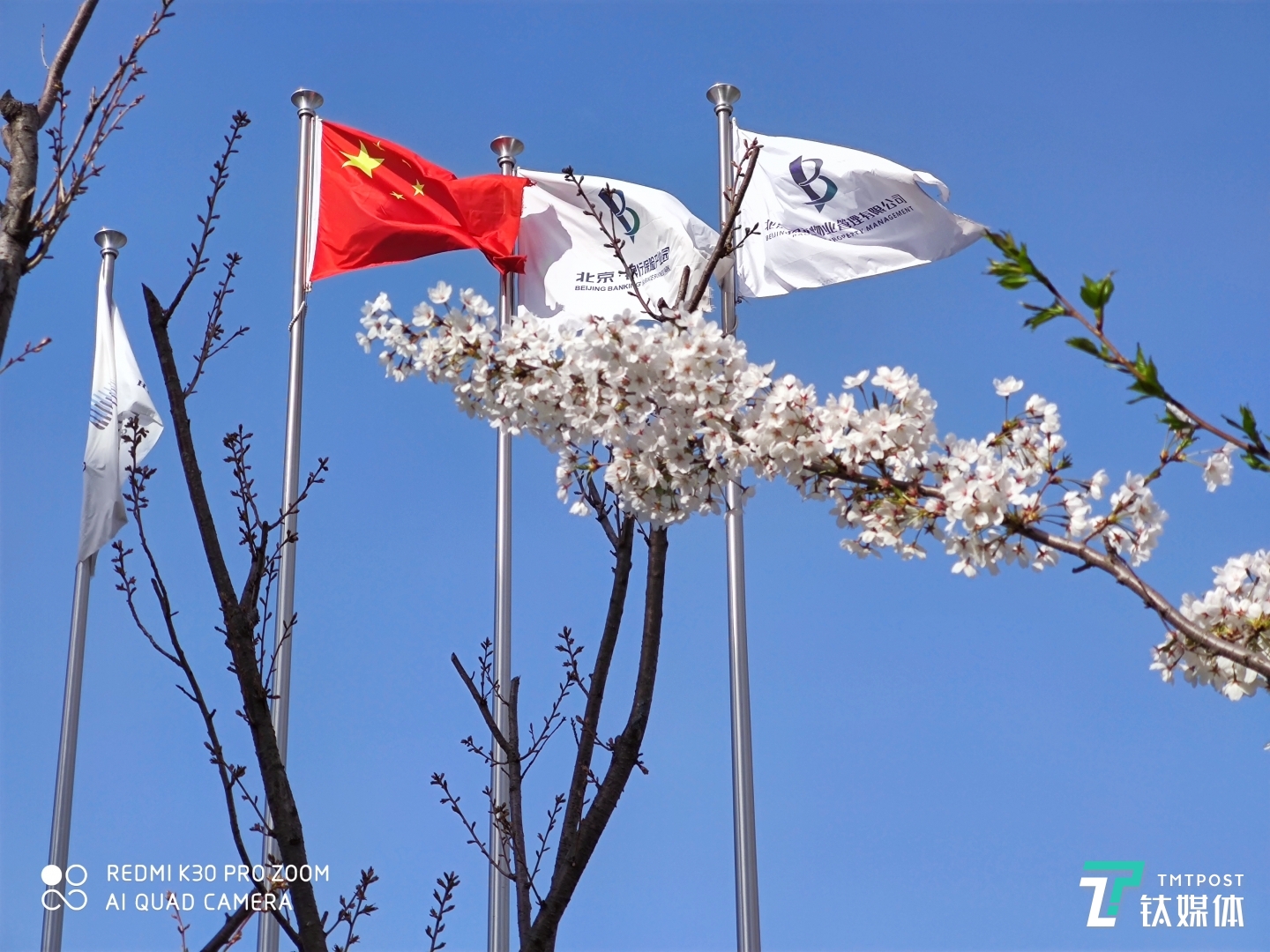 更多样张 焦距:7.48mm 光圈:f/2.4 快门:1/1250 ISO:50