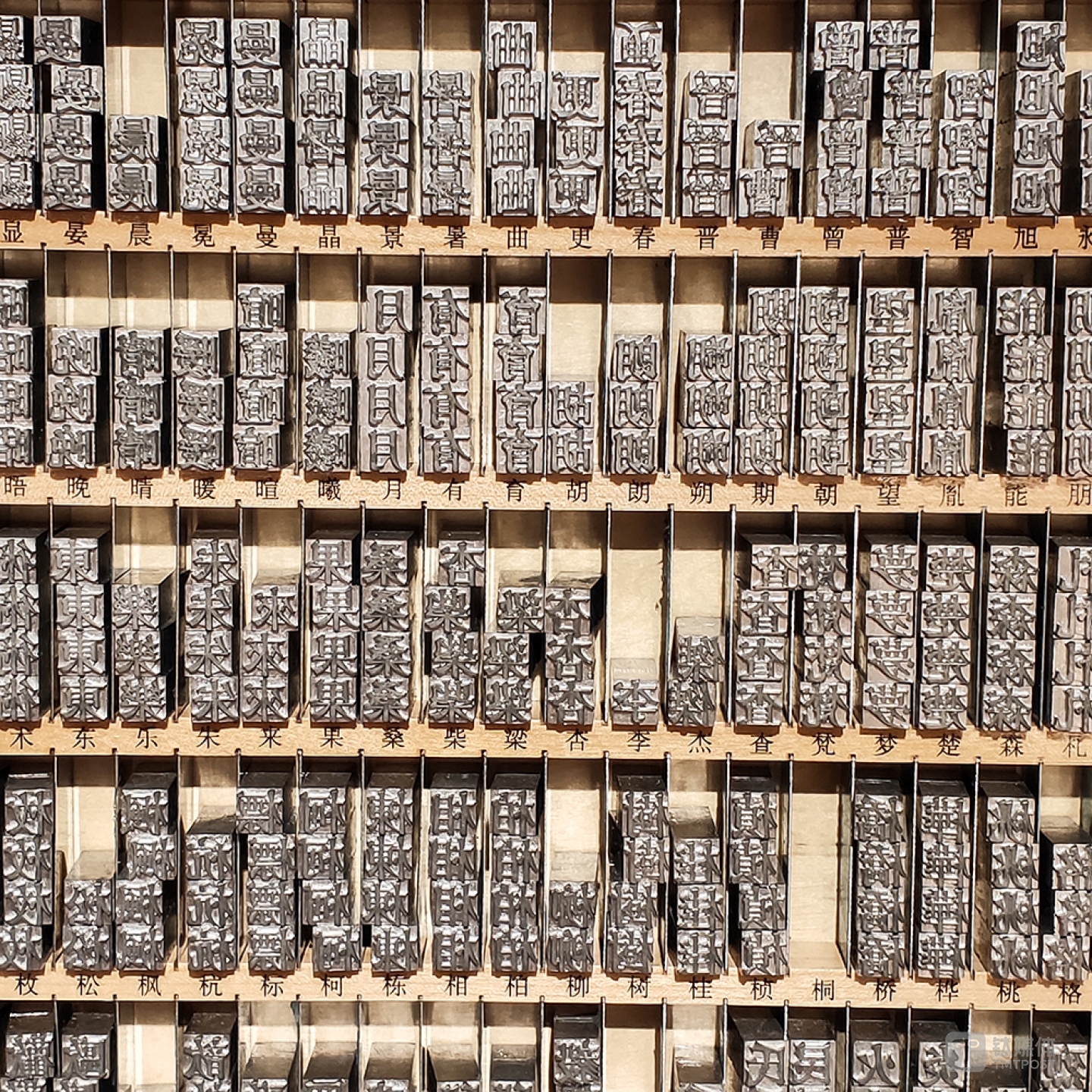 OPPO R17 Pro实拍样张