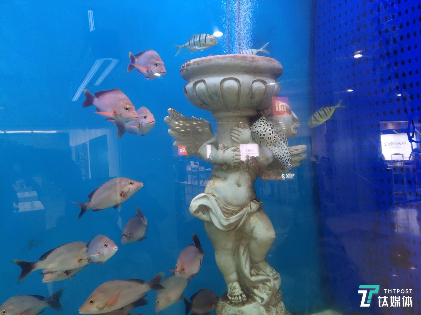 焦距：30mm 光圈：f/1.8 快门速度：1/100s ISO:288