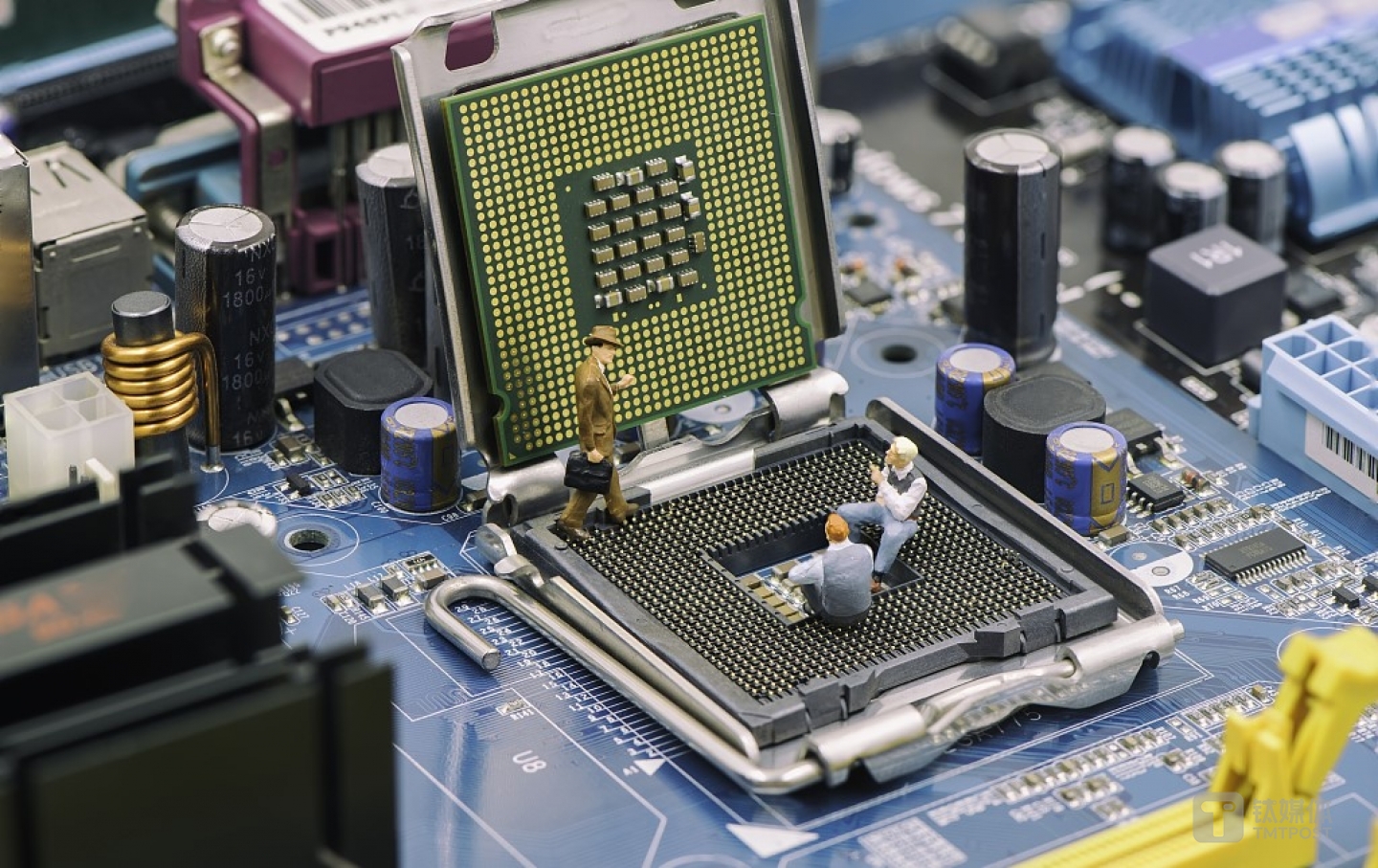 图片来源@视觉中国