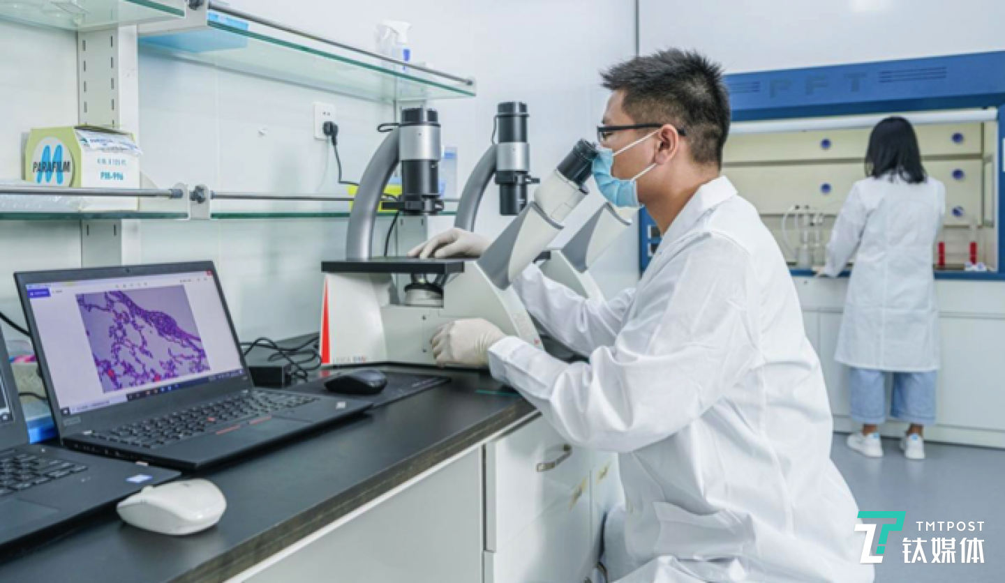 实验人员正在观察电子雾化器气溶胶对细胞组织的影响