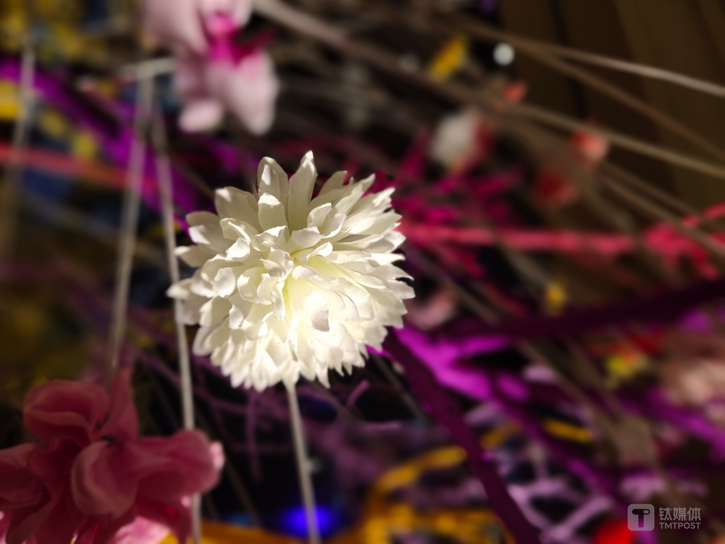 更多样张 焦距：4.35mm 光圈：f/1.8 快门速度：1/s ISO: