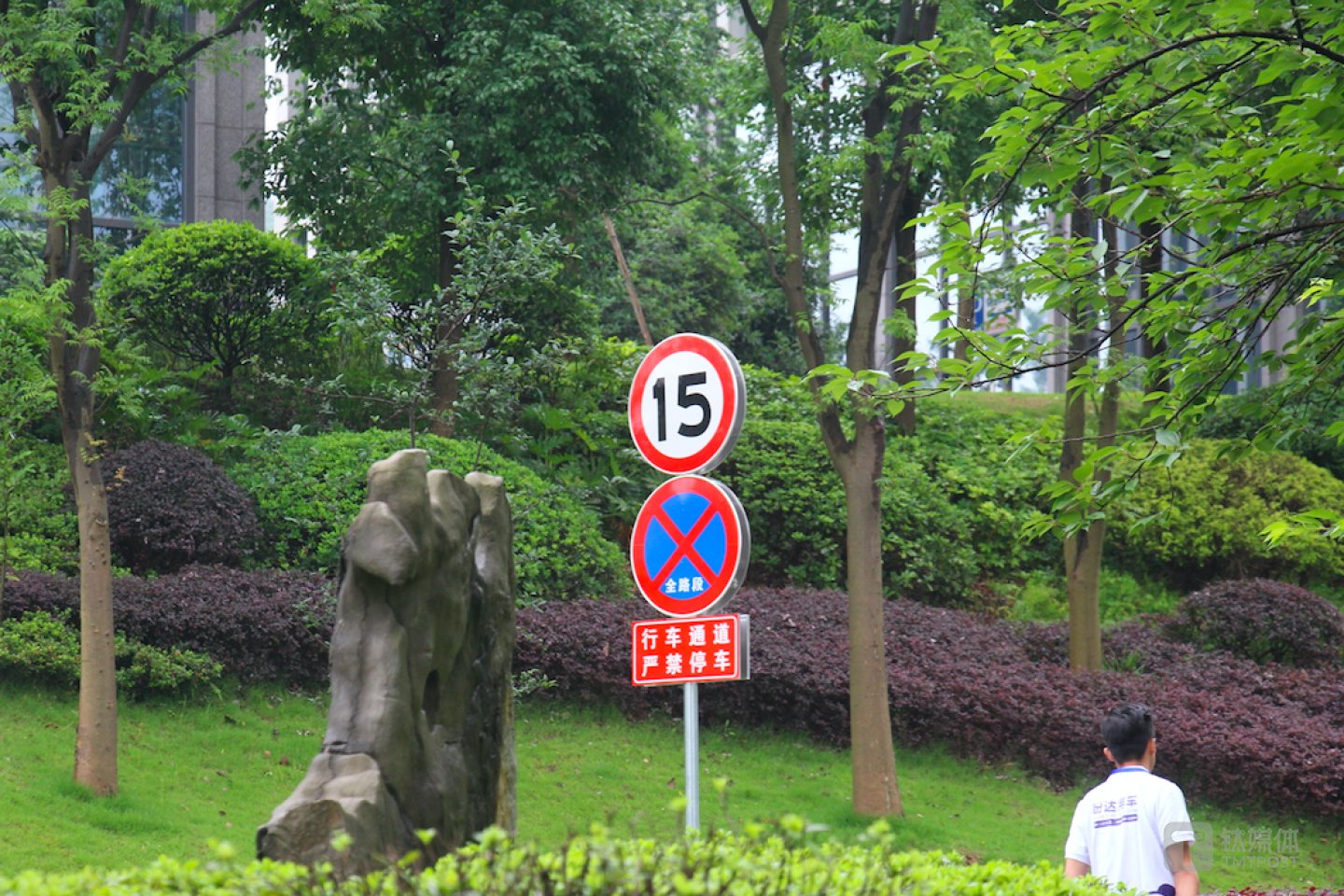 园区内的限速标志