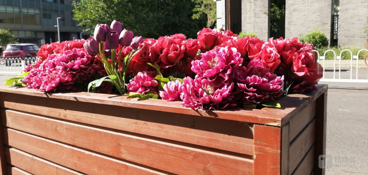 焦距：27mm 光圈：f/1.8 快门速度：1/640s ISO：50