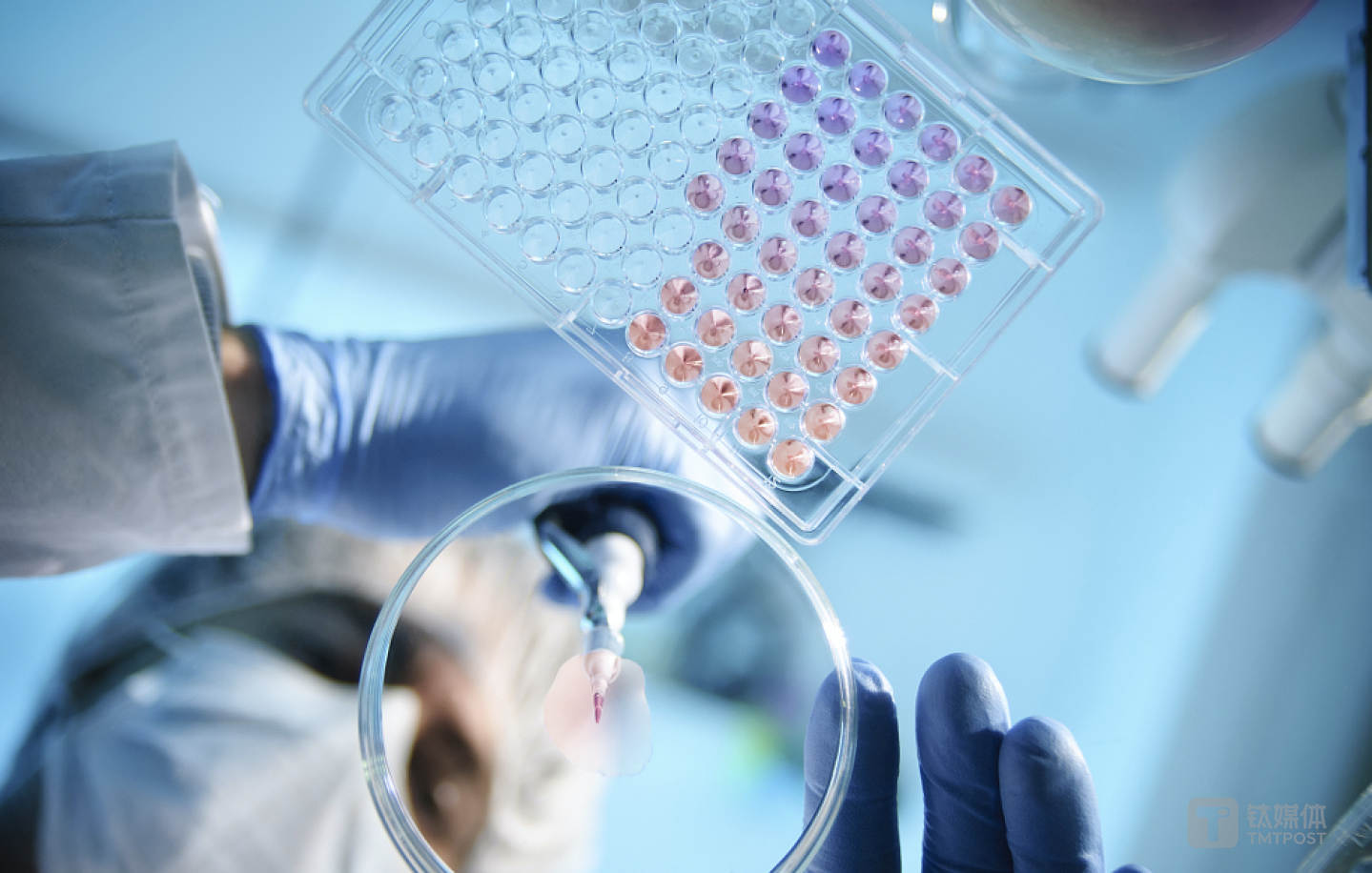 图片来源：视觉中国