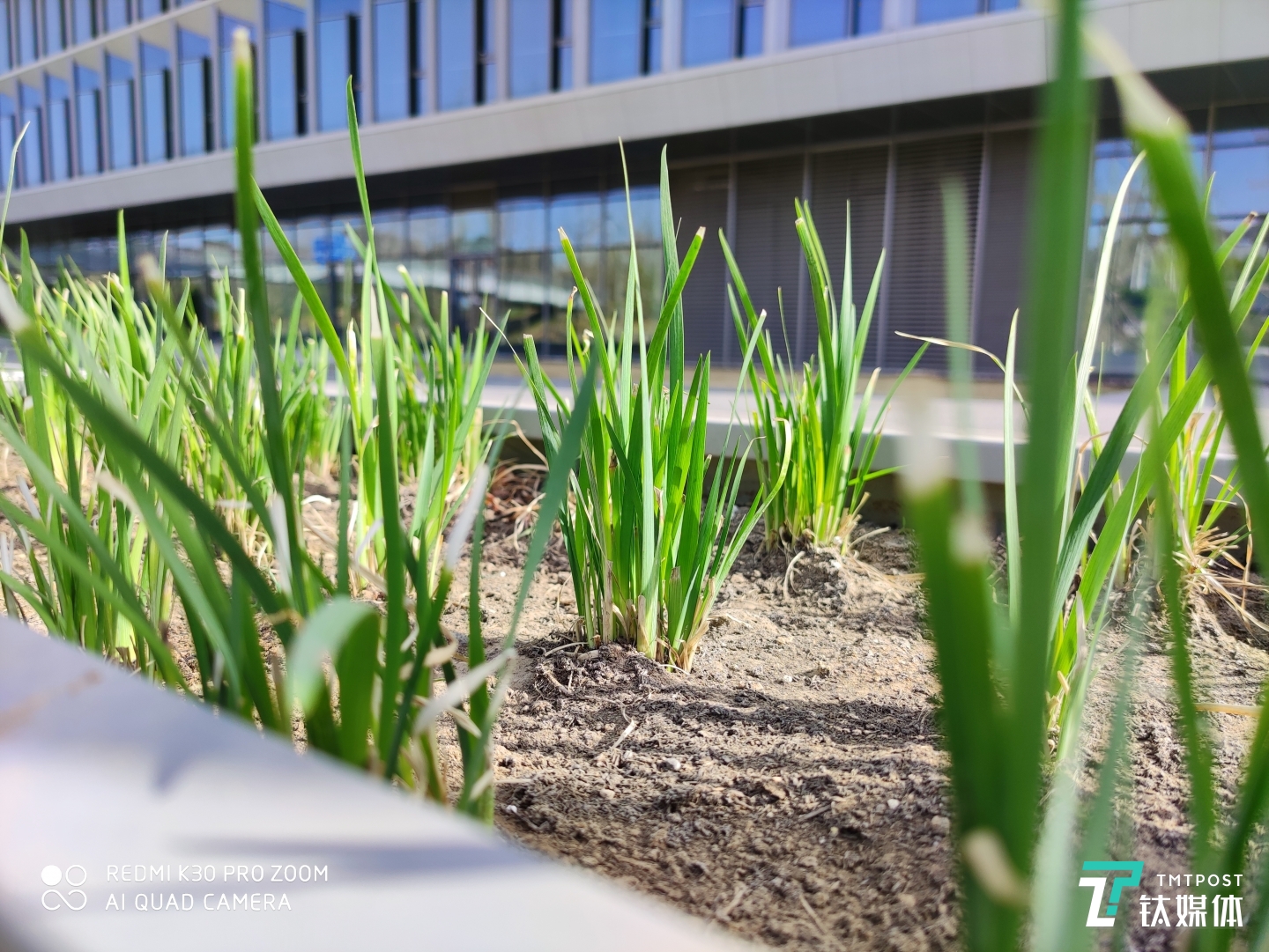 更多样张 焦距:5.58mm 光圈:f/1.6 快门:1/640 ISO:50