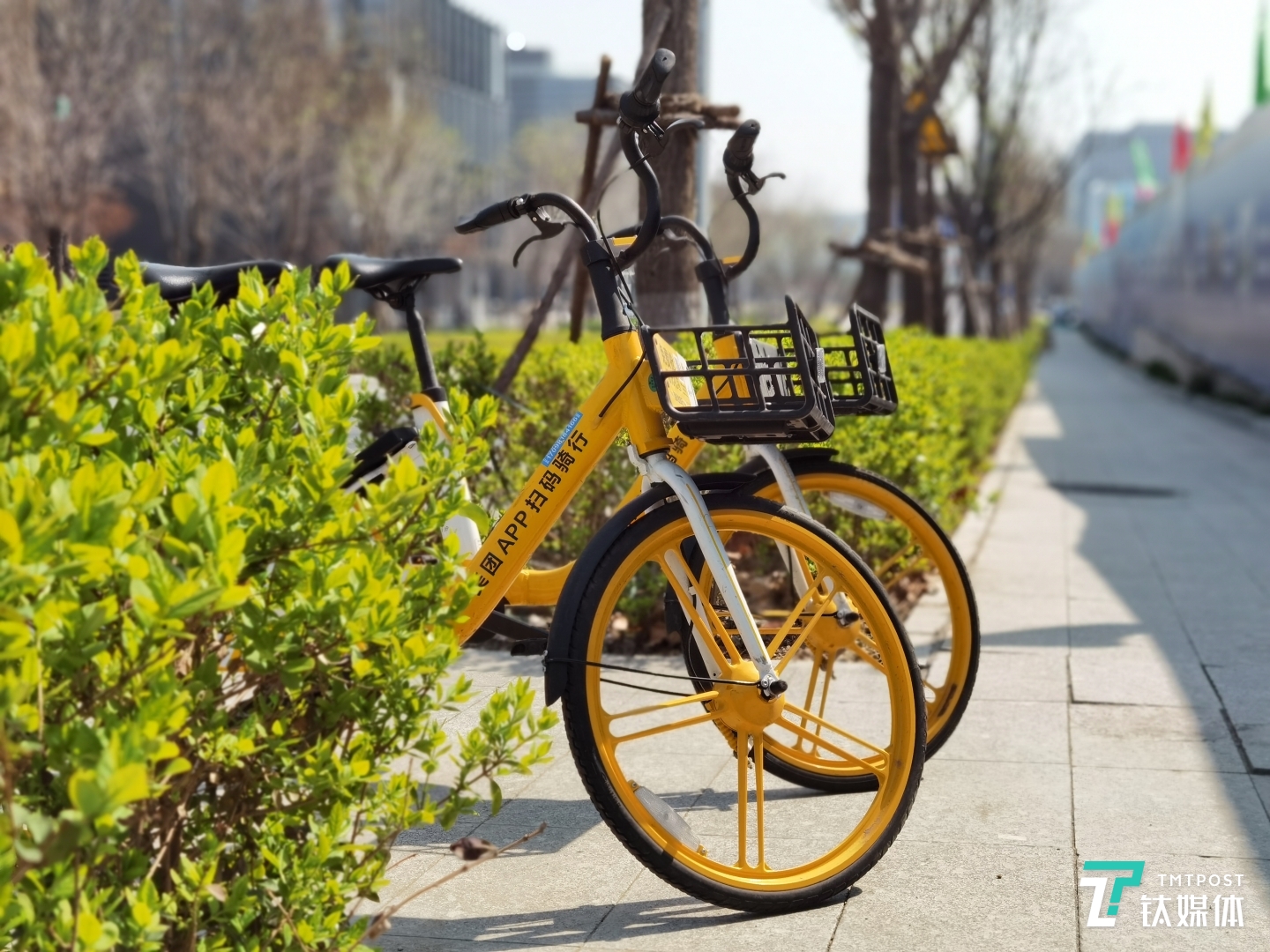 大光圈模式样张