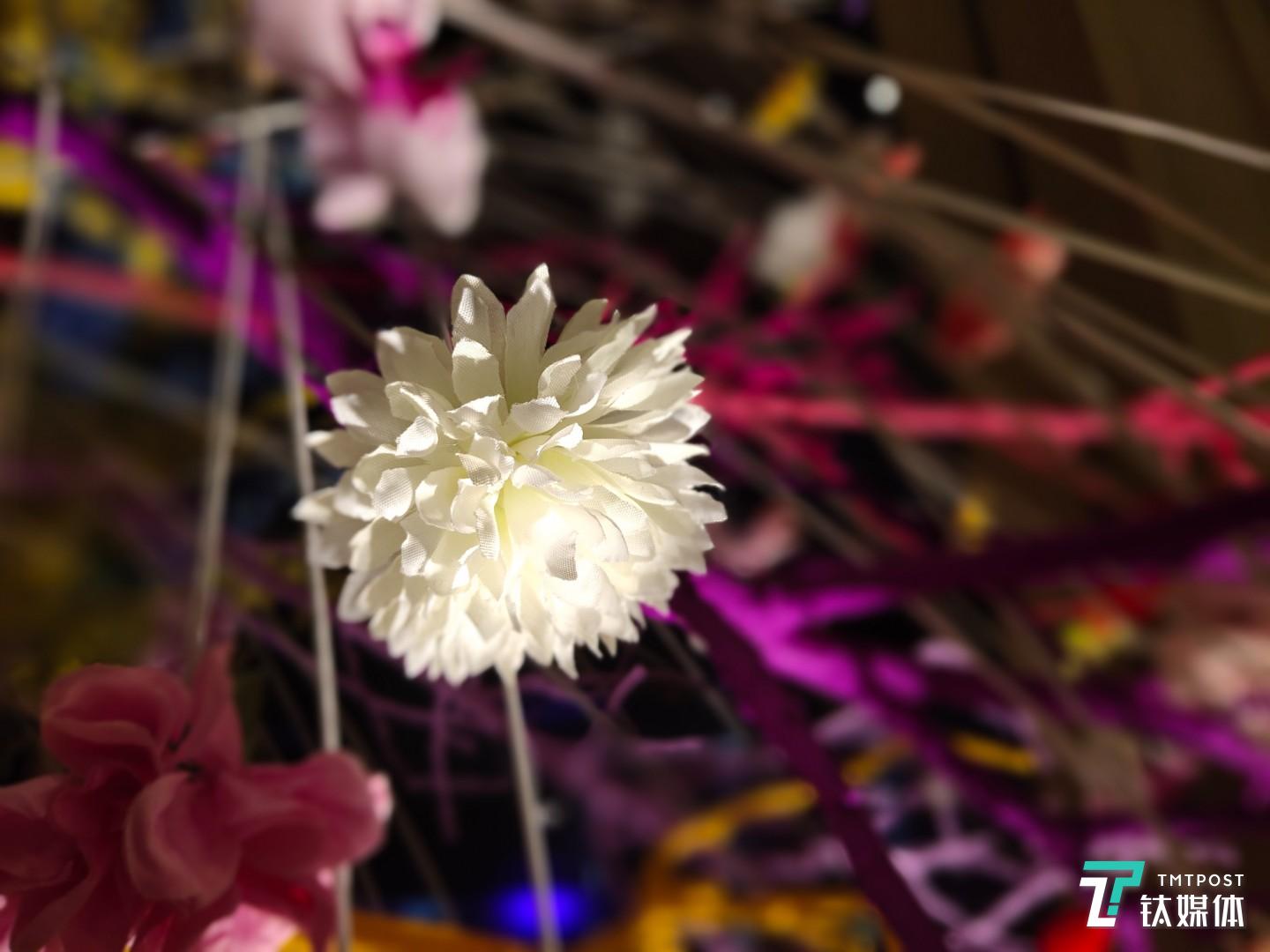 更多样张 焦距：4.35mm 光圈：f/1.8 快门速度：1/s ISO: