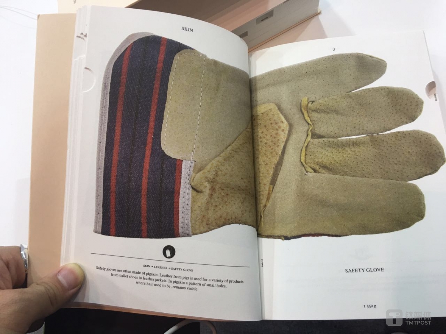 在耗时三年追踪一头编号为 05049的母猪后，艺术家 Christien Meindersma 将这头母猪身体各个部位的最终归宿画成了一本图画书。