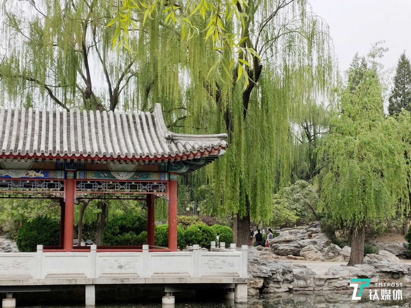 更多样张 焦距：mm 光圈：f/ 快门速度：1/s ISO: