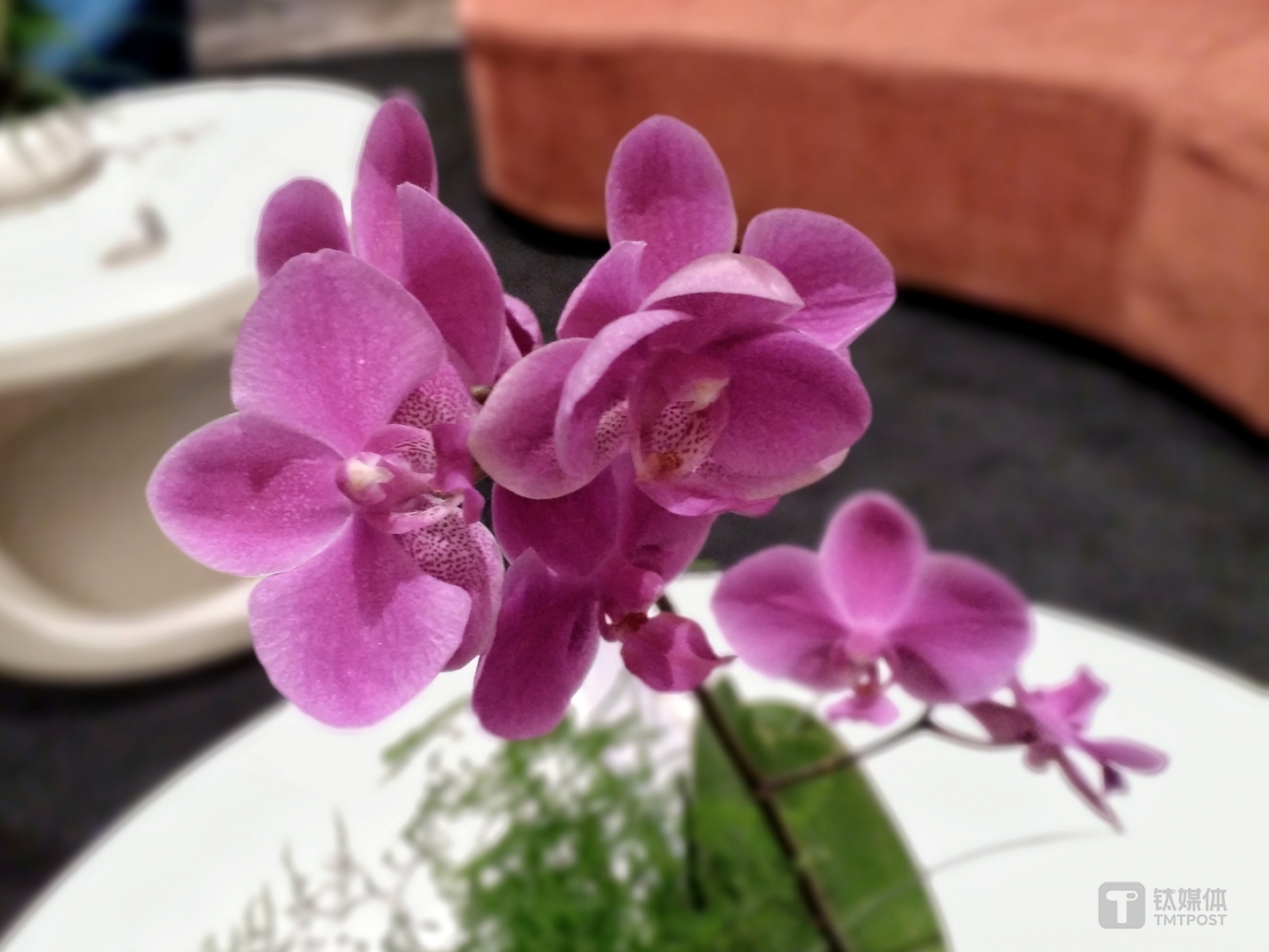 焦距：3.6mm 光圈：f/4.0 快门速度：1/s ISO: