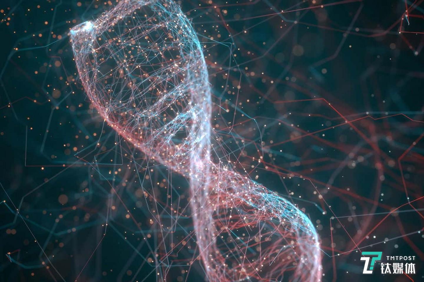 病毒DNA渲染图（来源：科学图片库）