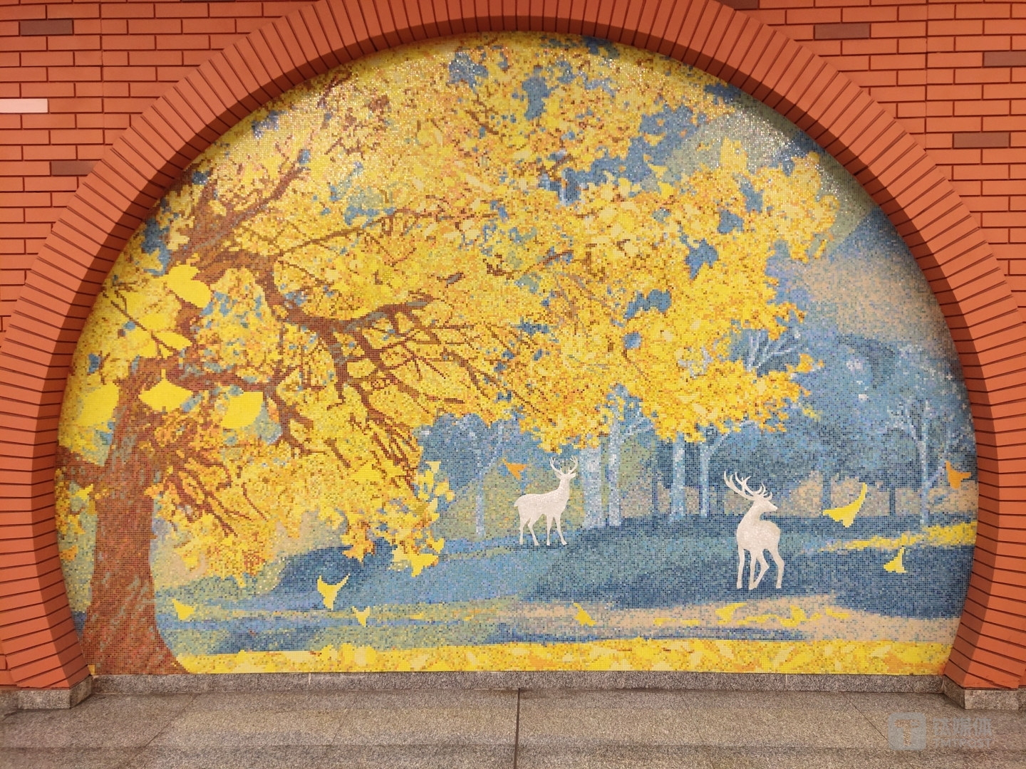 1200万像素解析力也足够，AI识别调色比较鲜艳