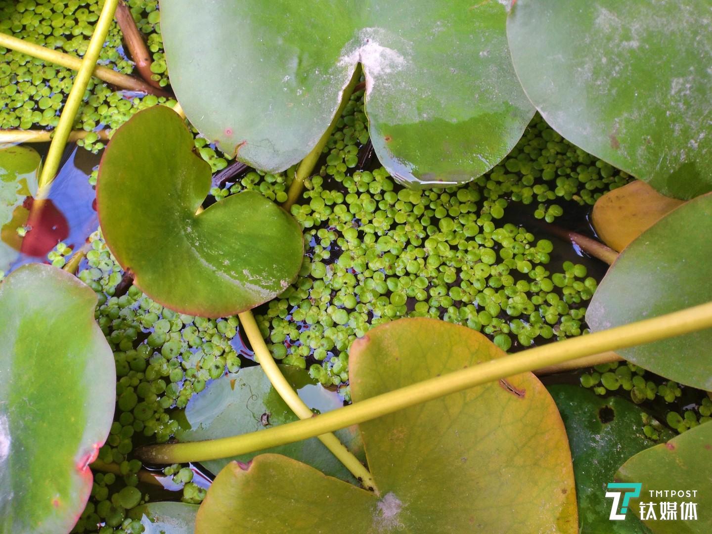 焦距：3.6mm 光圈：f/1.8 快门速度：1/s ISO: