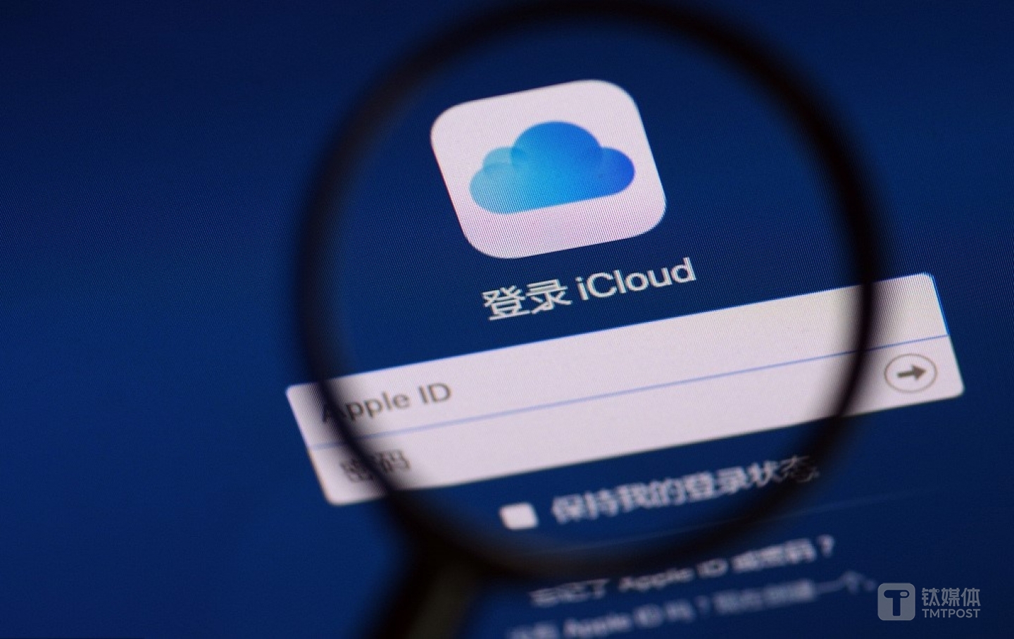 图片来源@视觉中国