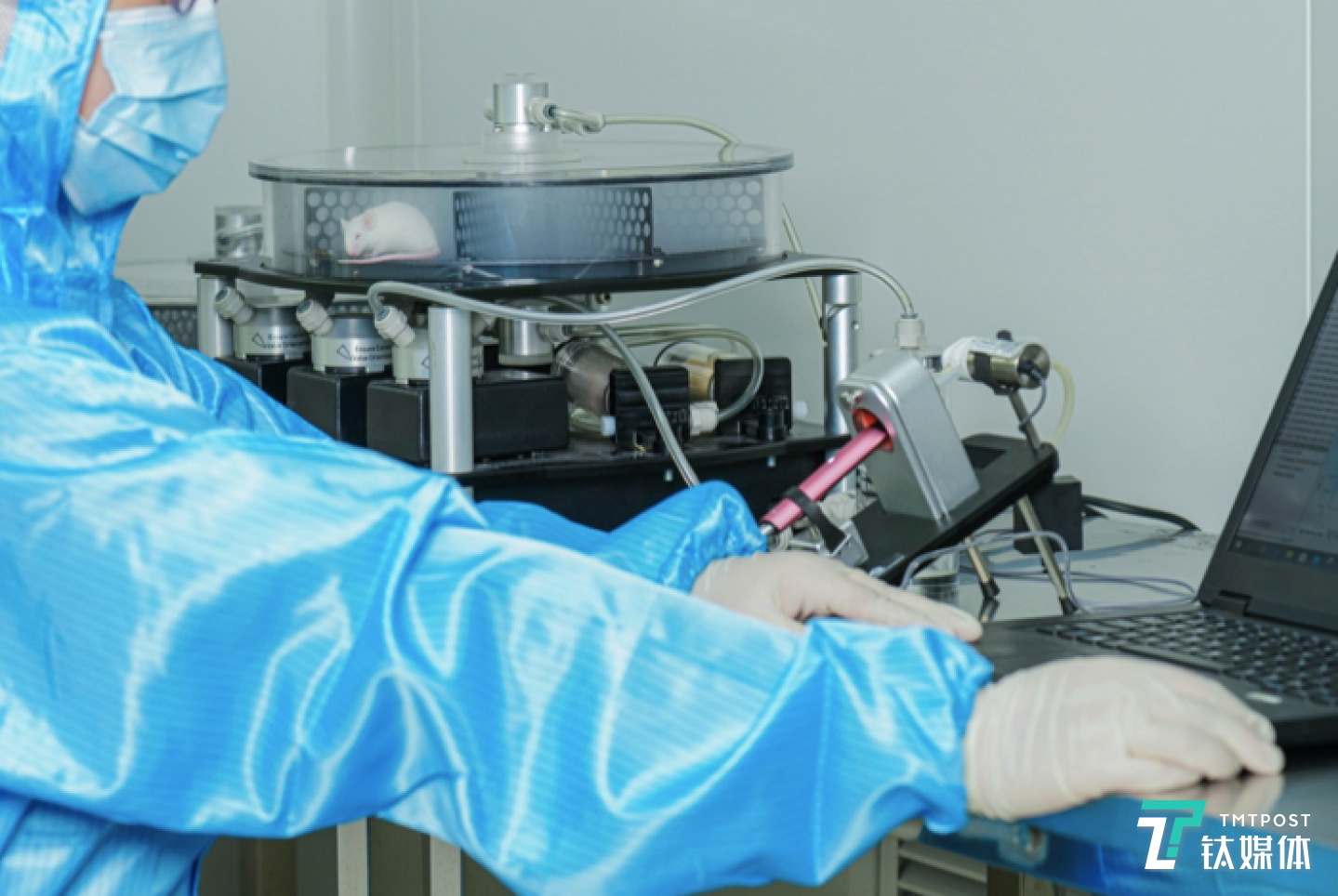 实验人员正将小鼠暴露在悦刻气溶胶环境下，进行气溶胶体内影响实验