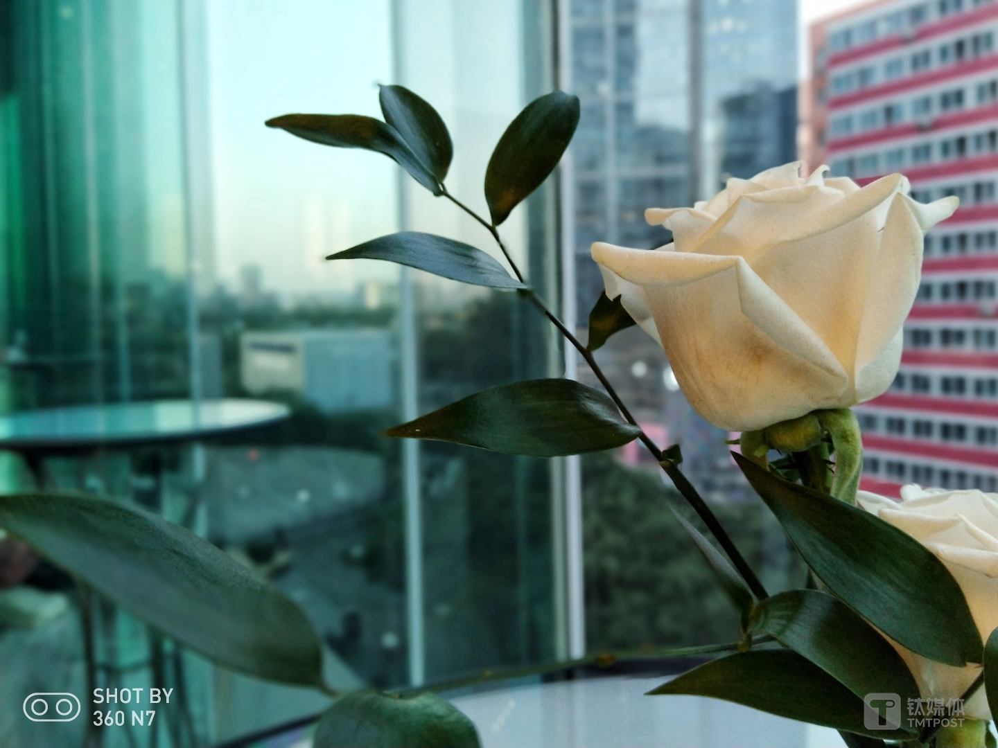 N7手机虚化样张