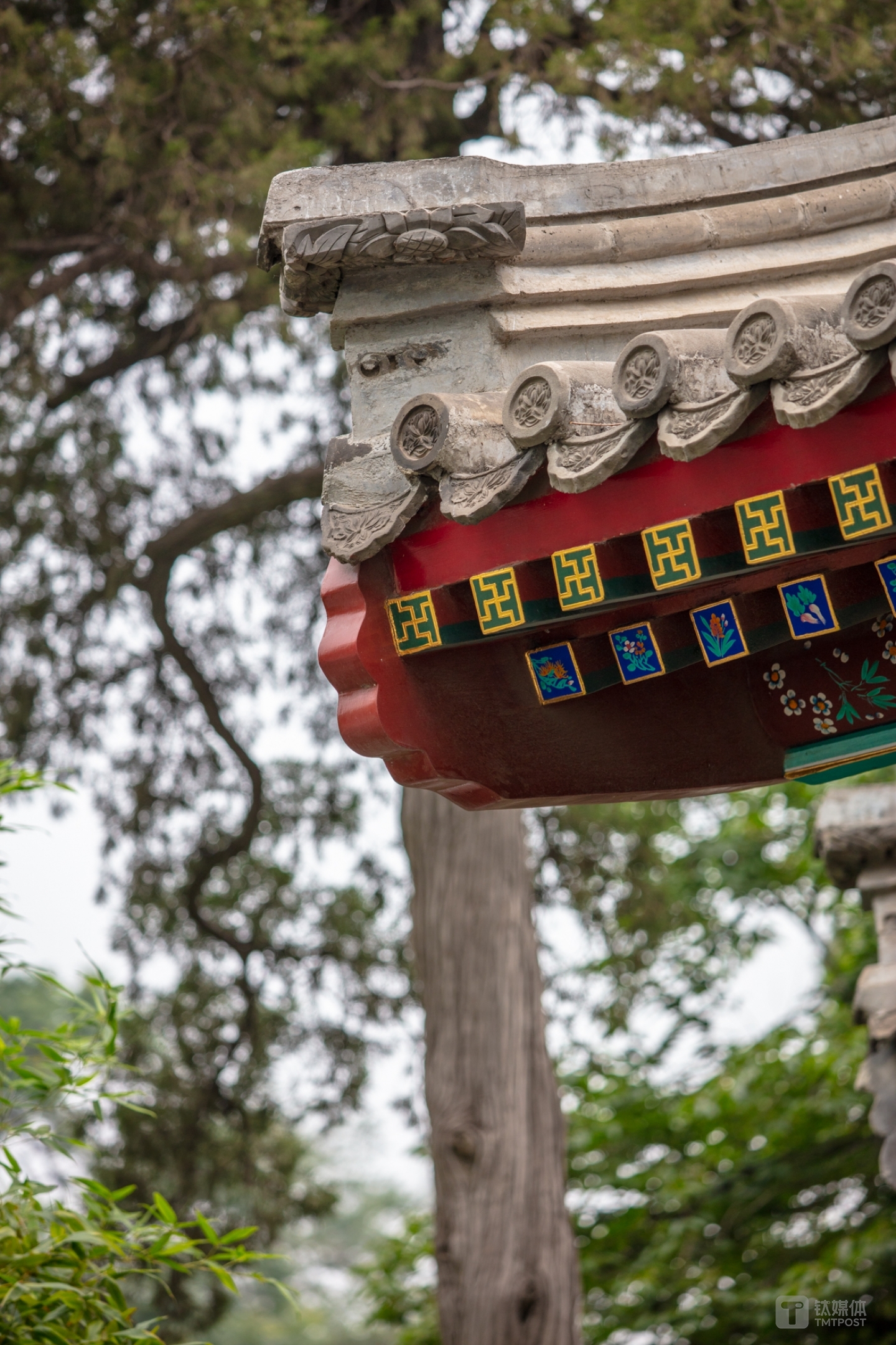 焦距：mm 光圈：f/ 快门：1/s ISO：