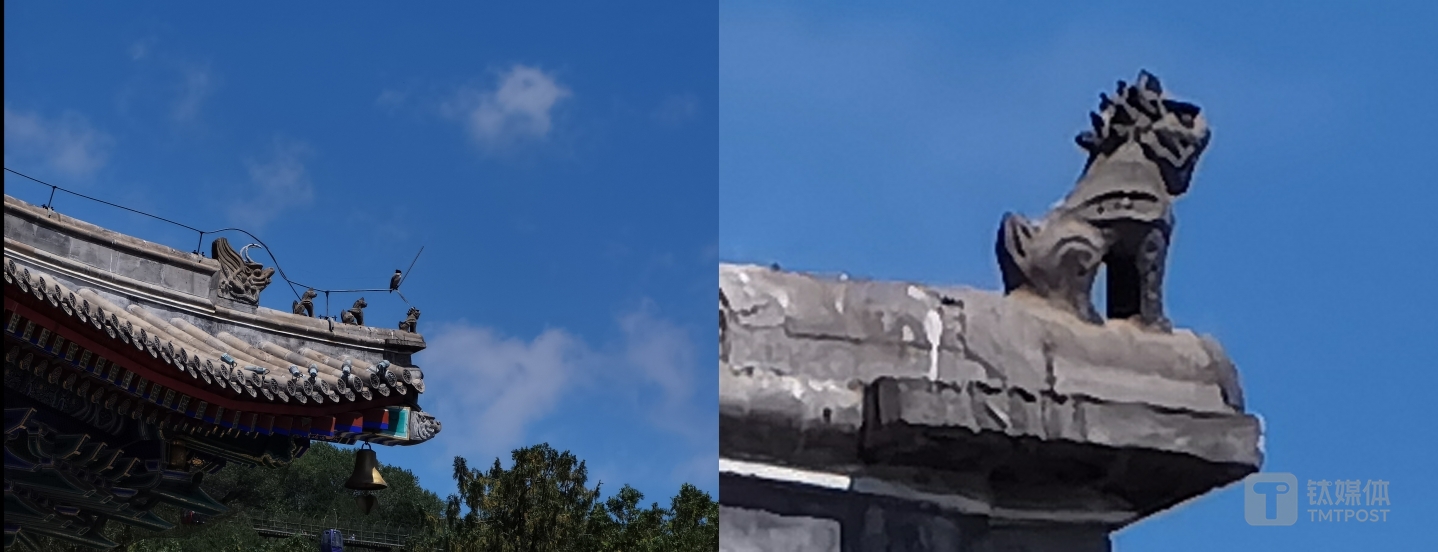 10倍光学变焦（左）100倍数字变焦（右）