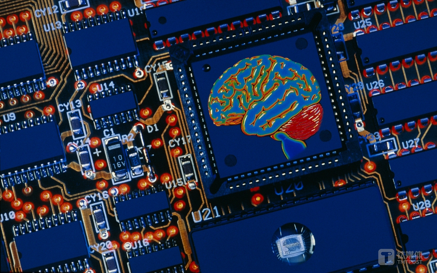 图片来源：视觉中国